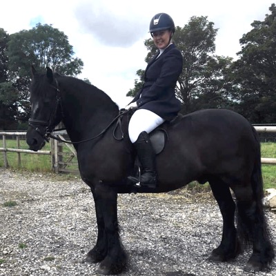 Horse and rider