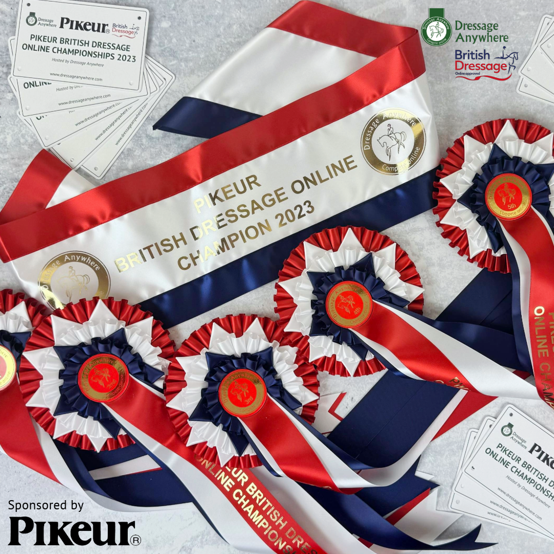 Online dressage red white and blue championship rosettes, sash and stable plaque