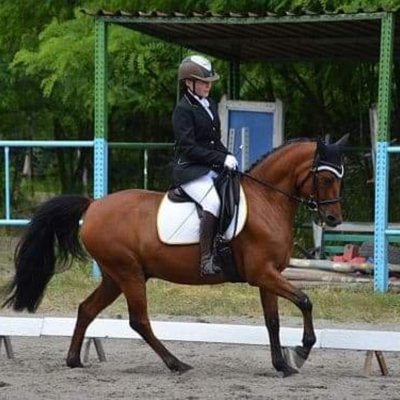 Marysia and online dressage