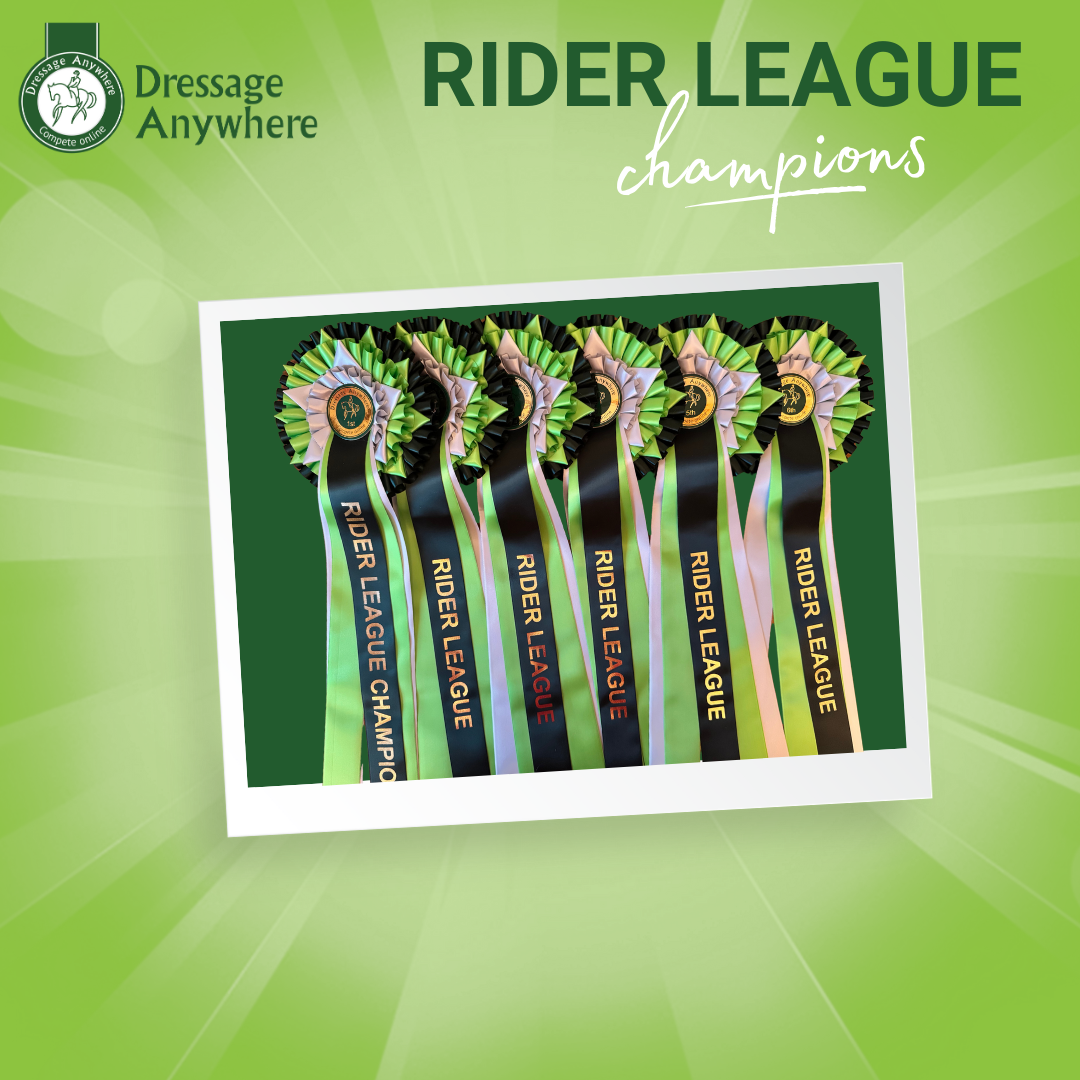 Championship rosettes: dark green light green and silver with tails that say Rider League