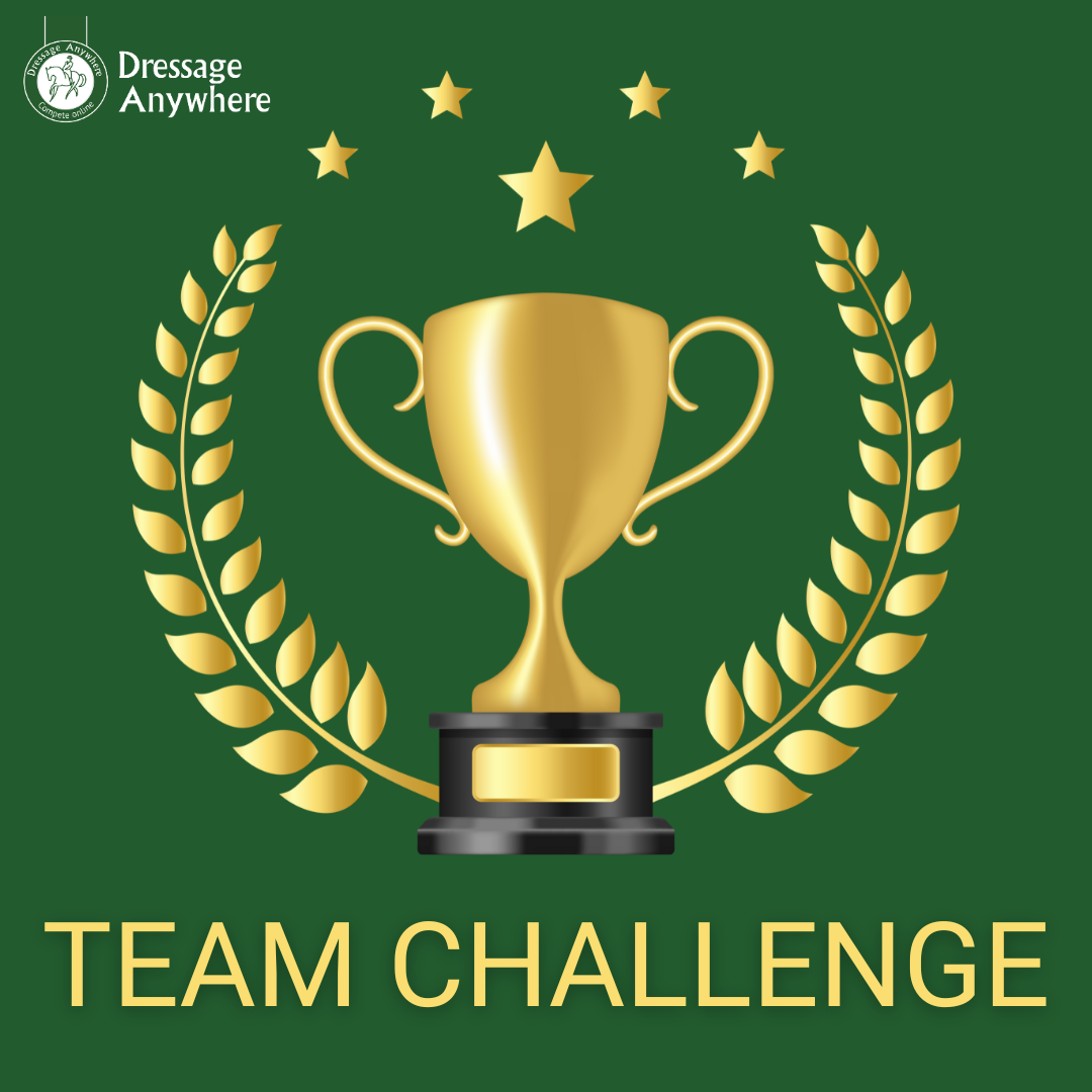 Green background with a trophy and laurel wreath. Text states: Team Challenge