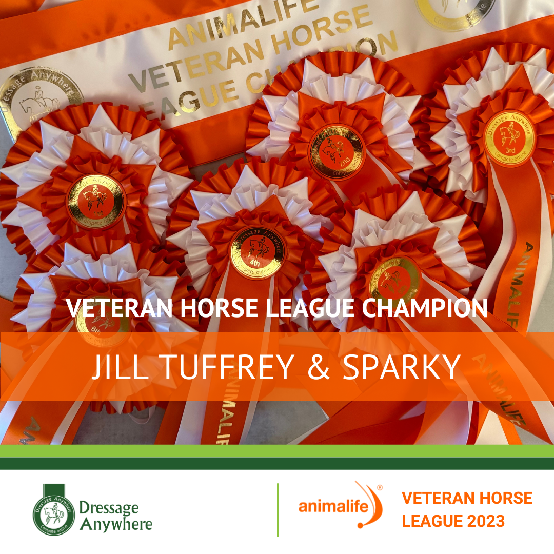 Orange and white online dressage rosettes with the text: Veteran Horse League Champions - Jill Tuffrey and Sparky