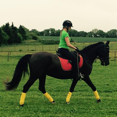 Horse and rider