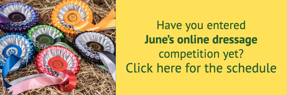Online dressage banner