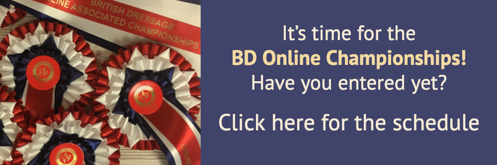 Online dressage banner