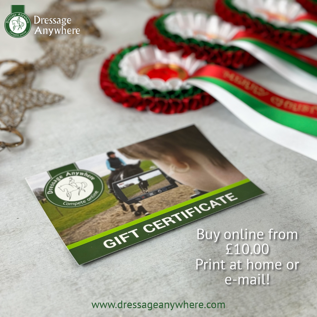 Christmas rosettes and online dressage gift certificate