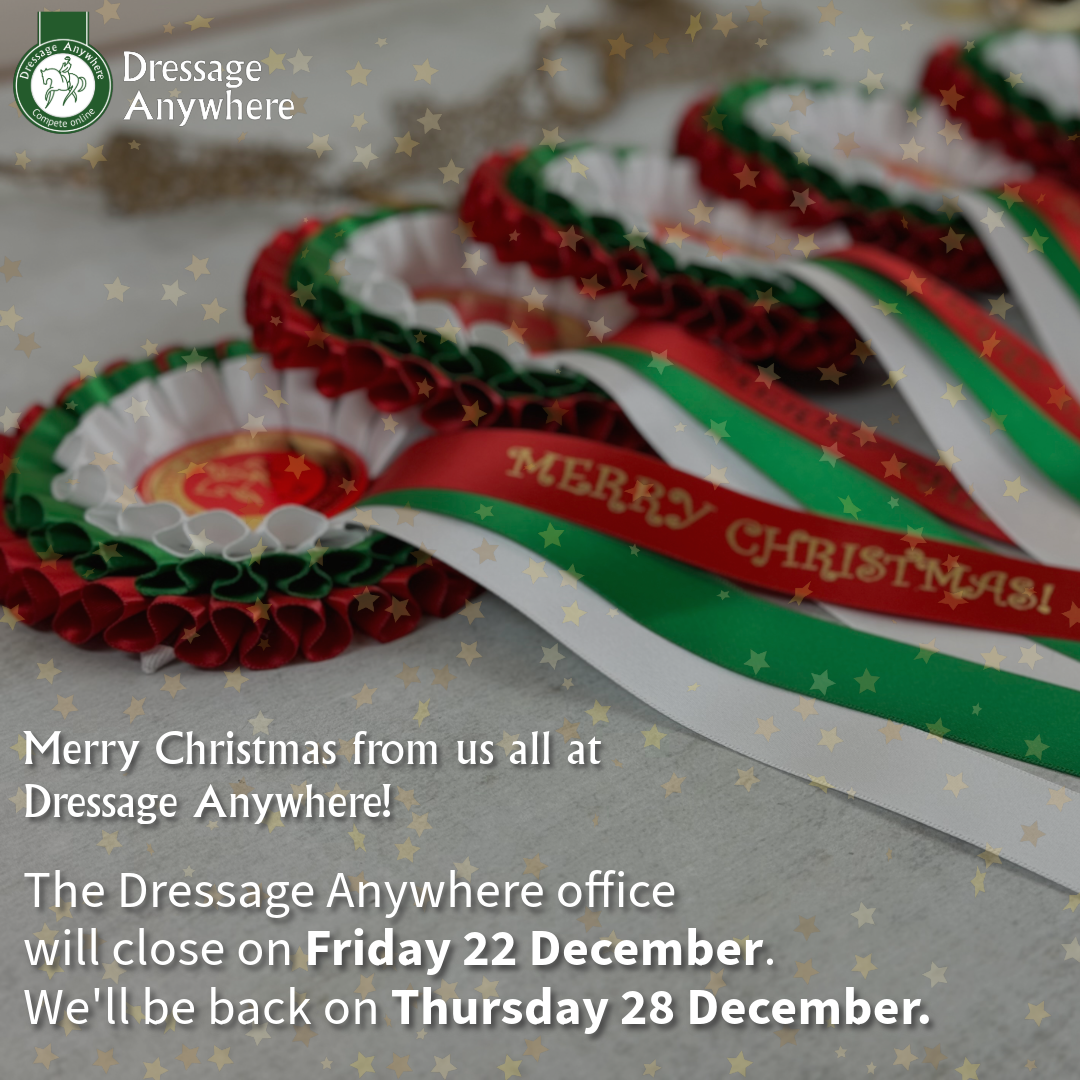 Christmas online dressage rosettes