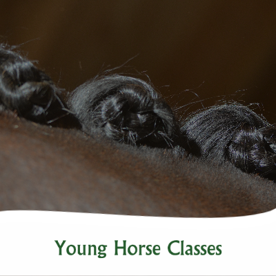 Horse's mane with plaits