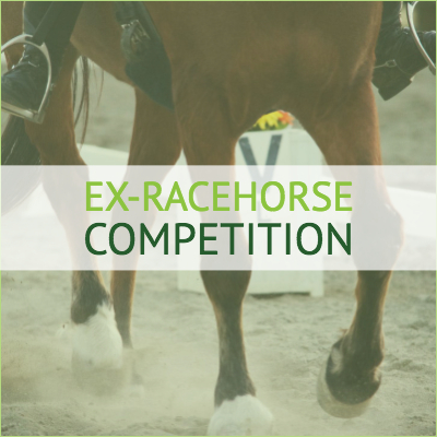 Ex-racehorse online dressage competition