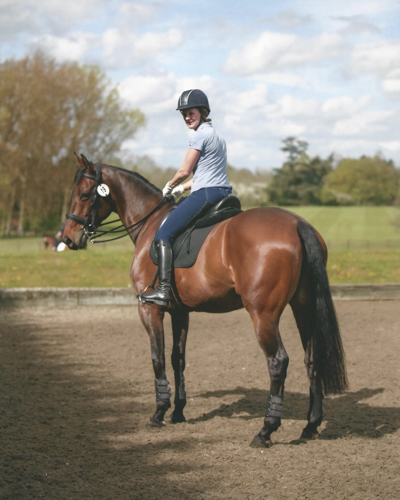 Horse and Rider