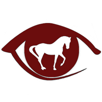 Through the eye of the judge logo