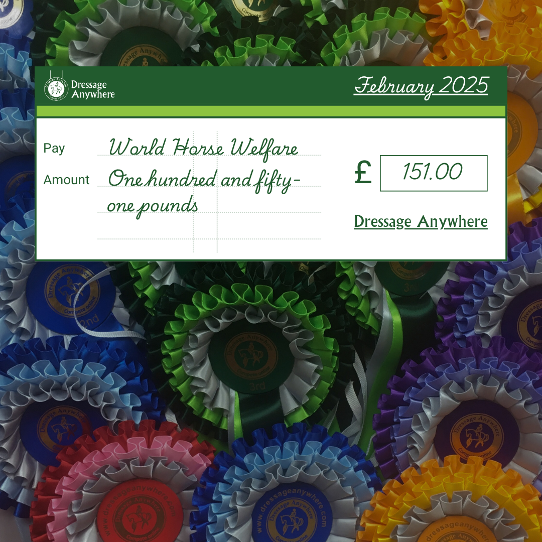 Background image of colourful rosettes with mock-up cheque in foreground. Text says Pay: World Horse Welfare £151.00