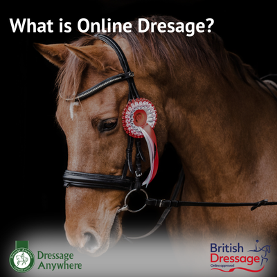 Chesnut horse with a black bridle wearing a red online dressage rosette. Text says: What is Online Dressage?