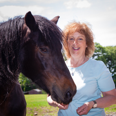 Horse with rider
