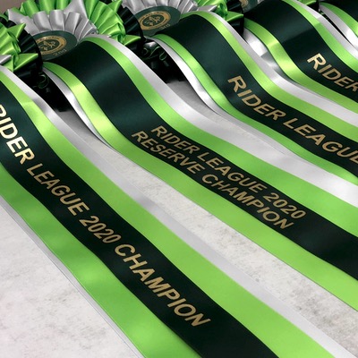 Online Dressage Rider League rosettes