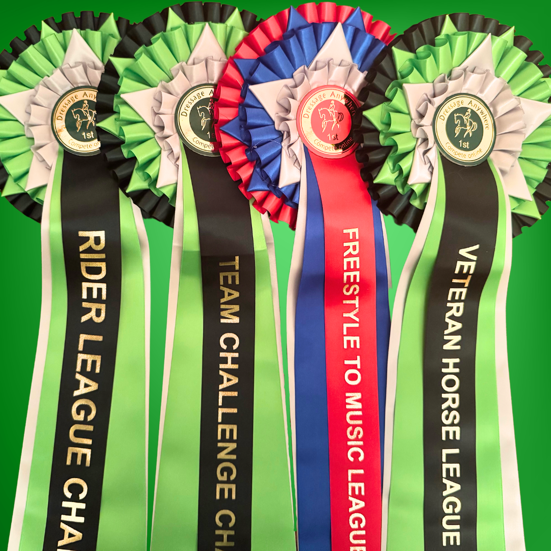 Four big championship rosettes