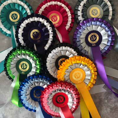 1st to 10th place online dressage rosettes