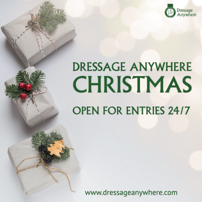 Online dressage at Christmas