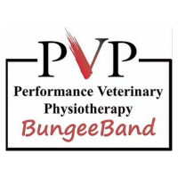 BungeeBand Logo