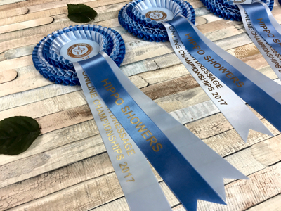 Championship rosettes for the Introductory class
