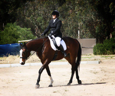 Horse and rider at walk
