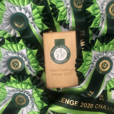 2020 Team Challenge Online Dressage Award