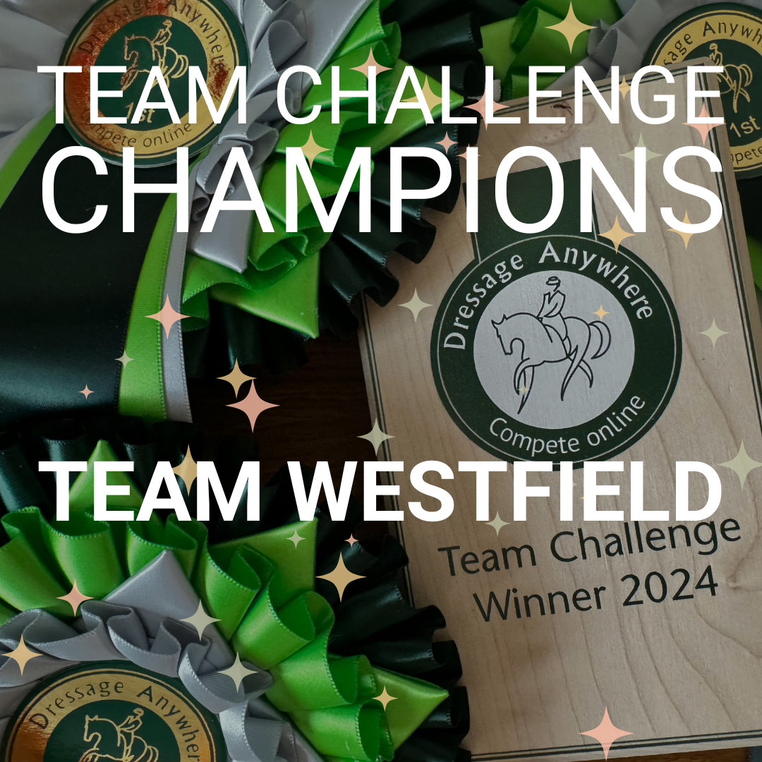 Dark green, light green and silver rosettes with wooden plaque award that says 'Team Challenge Winner 2024'