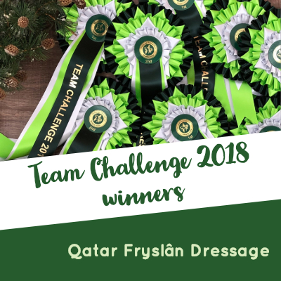 online dressage team challenge champions