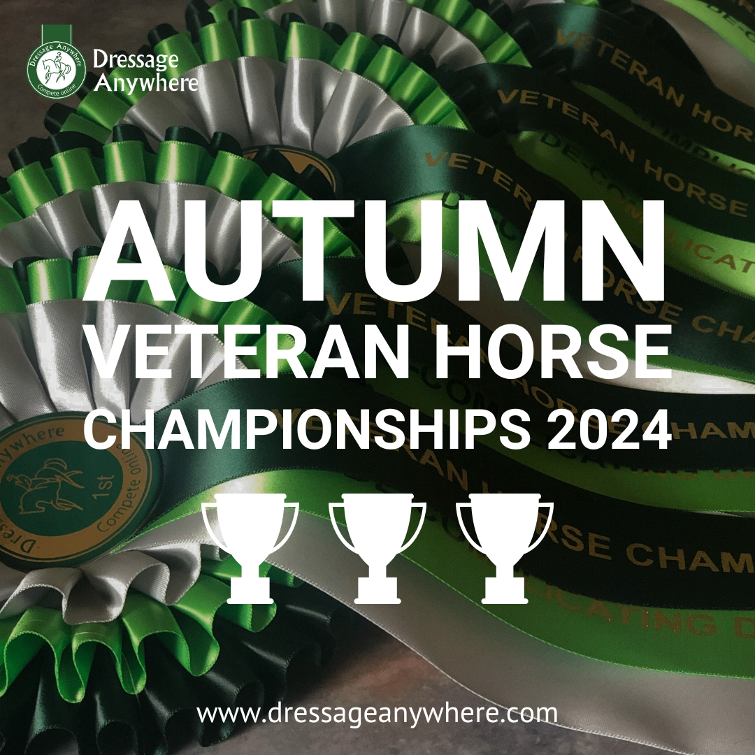 Large championship rosettes  with three tiers - silver, light green and dark green